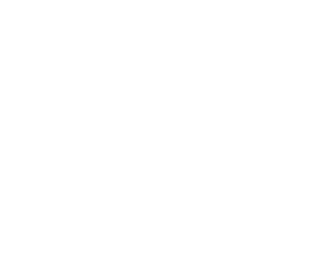 Stick fine Design Pircher Stickerei Druckerei Strass